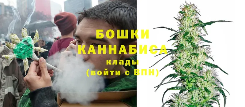 Шишки марихуана Bruce Banner  Кемь 